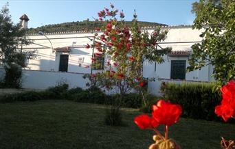 Vivienda Rural Las Casitas 3