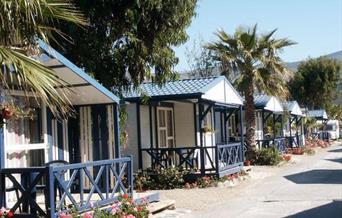 Camping Don Cactus