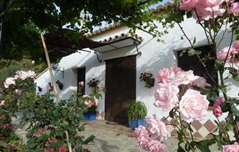 Apartamentos Finca El Moralejo