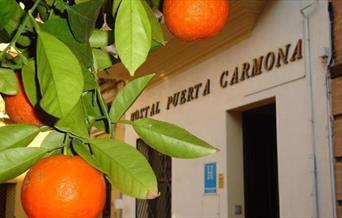 Hostal Puerta Carmona