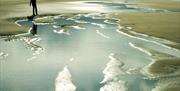 Doñana Playas