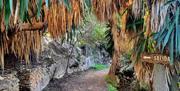 Bosque Encantado