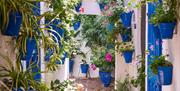 Festival de los Patios de Córdoba