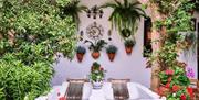Festival de los Patios de Córdoba