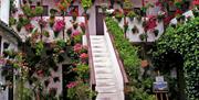 Festival de los Patios de Córdoba