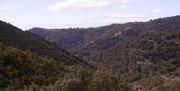 Montes de Málaga
