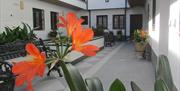 Apartamentos Trianaapartment