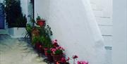 fotos casa la lobita vejer