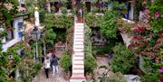 Festival de los Patios de Córdoba