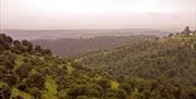 Sierra de Cardeña y Montoro