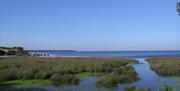 Marismas de Doñana y Mar
