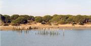 Doñana Pinar y Poblados