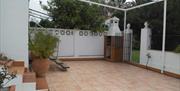 Patio trasero