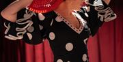 Ana Pastrana, Alegría Flamenco & Gastronomía