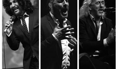 Festival Flamenco de El Bosque