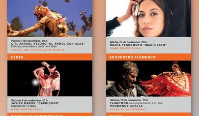 Flamenco Patrimonio de la Humanidad Cádiz